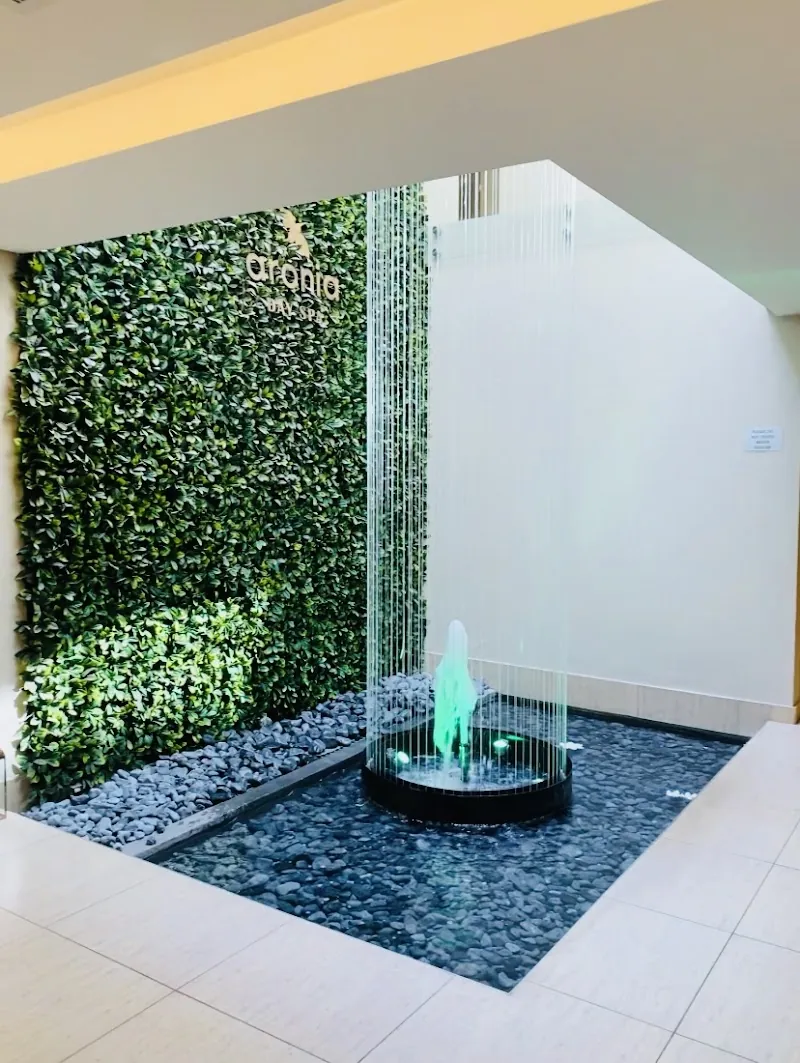 Aronia Day Spa